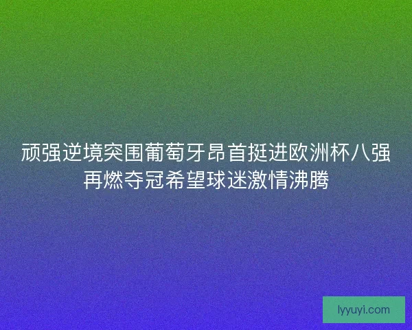 顽强逆境突围葡萄牙昂首挺进欧洲杯八强再燃夺冠希望球迷激情沸腾
